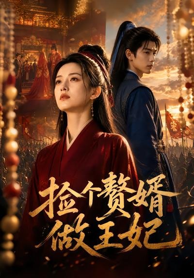 捡个赘婿做王妃封面